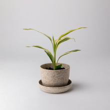Load image into Gallery viewer, Mini Planter