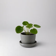 Load image into Gallery viewer, Mini Planter