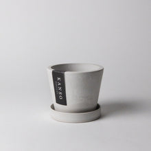 Load image into Gallery viewer, Signature Planters