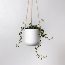Load image into Gallery viewer, Signature Stone - Hanging Planters