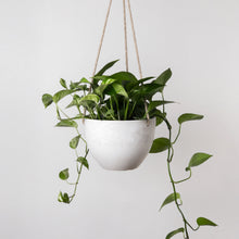 Load image into Gallery viewer, Signature Stone - Hanging Planters