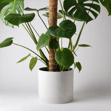 Load image into Gallery viewer, Coco Coir Poles