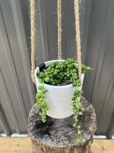 Load image into Gallery viewer, String of Pearls