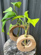 Load image into Gallery viewer, Full Moon Propagation Station