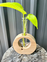 Load image into Gallery viewer, Full Moon Propagation Station