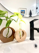 Load image into Gallery viewer, Full Moon Propagation Station