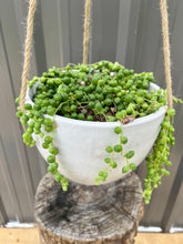 Load image into Gallery viewer, String of Pearls