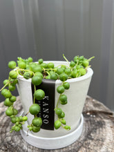 Load image into Gallery viewer, String of Pearls