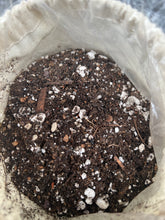 Load image into Gallery viewer, Mediterranean Soil Blend