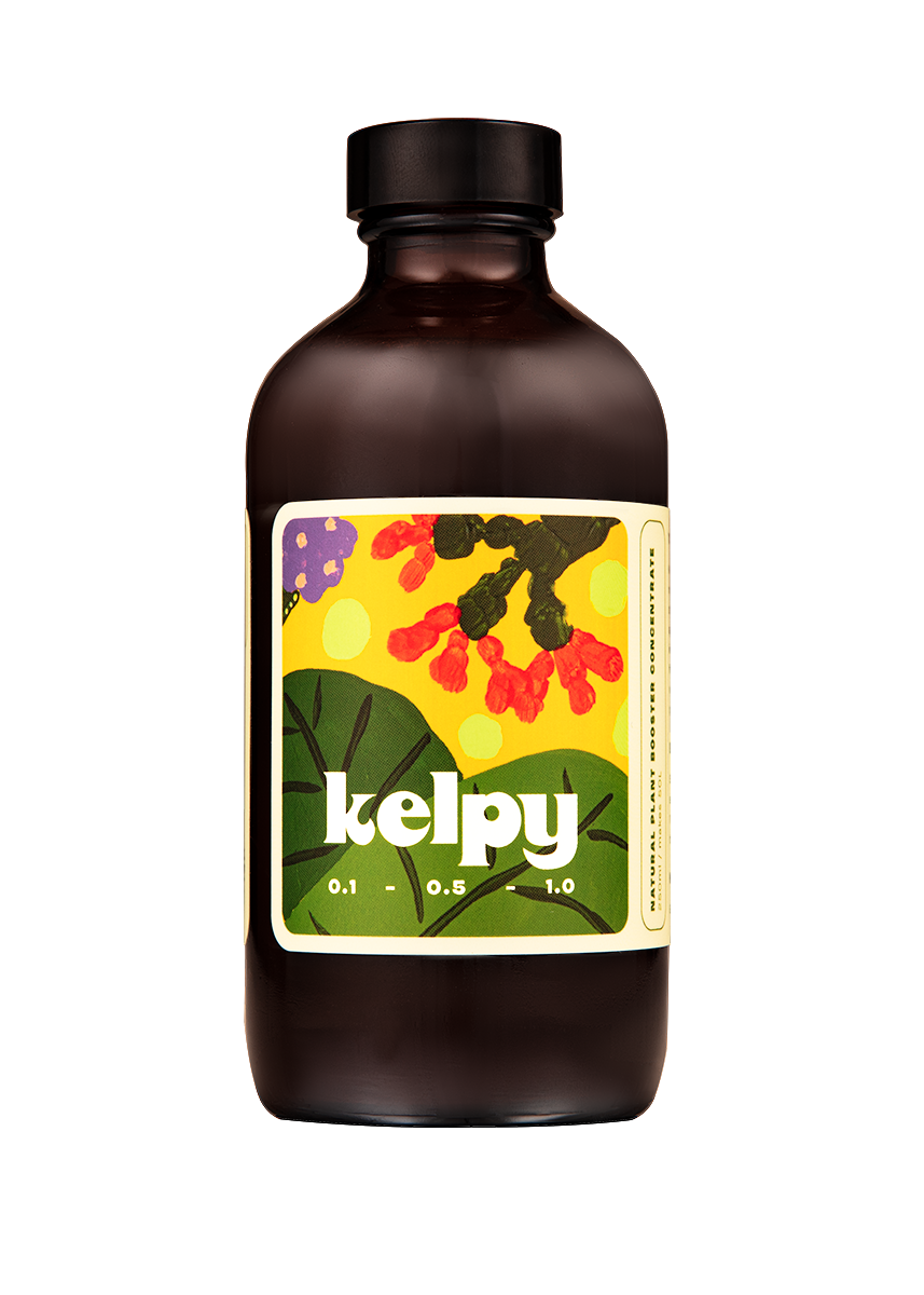 Kelpy Food for Plants