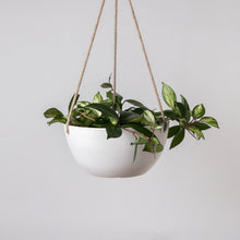 Load image into Gallery viewer, Signature Stone - Hanging Planters
